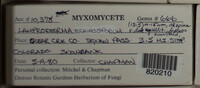 Image Associated With the Occurence